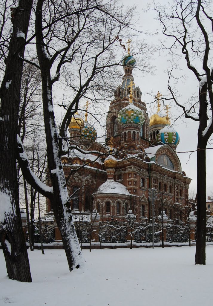 The Church of the Savior on Blood. A view from Mikhajlovskij garden.