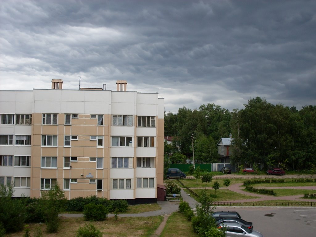 Вид из окна