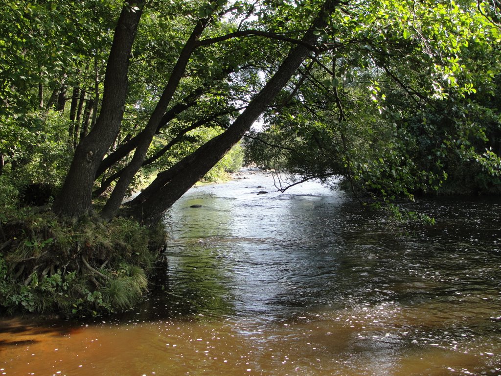 Вода бежит под сенью древ... Water runs under the canopy of trees