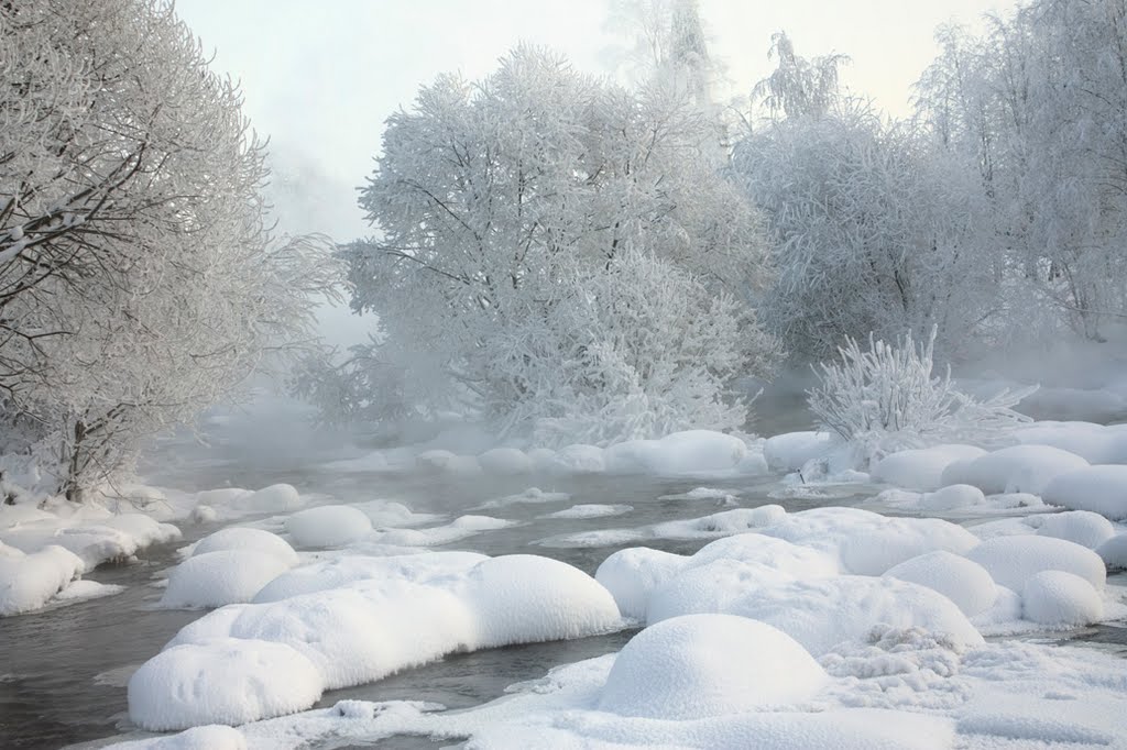 Морозу вопреки.