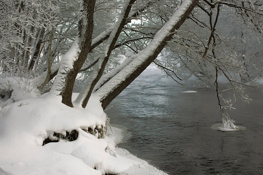 -28C