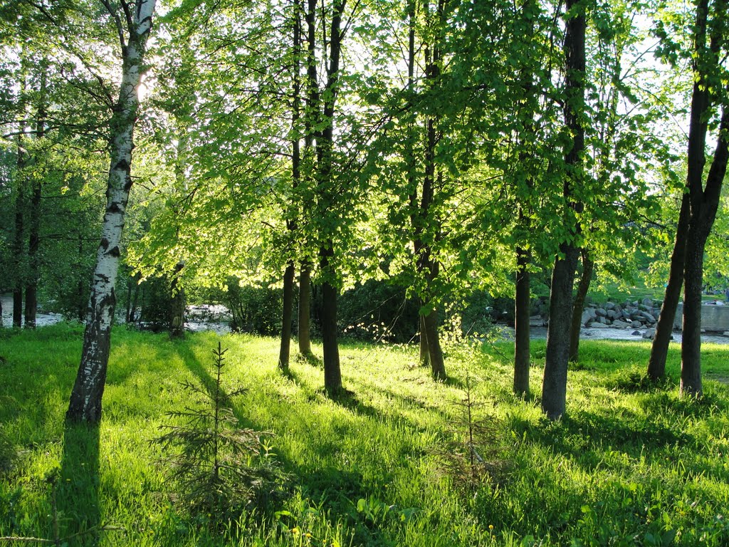 Солнечный вечер. Sunny evening