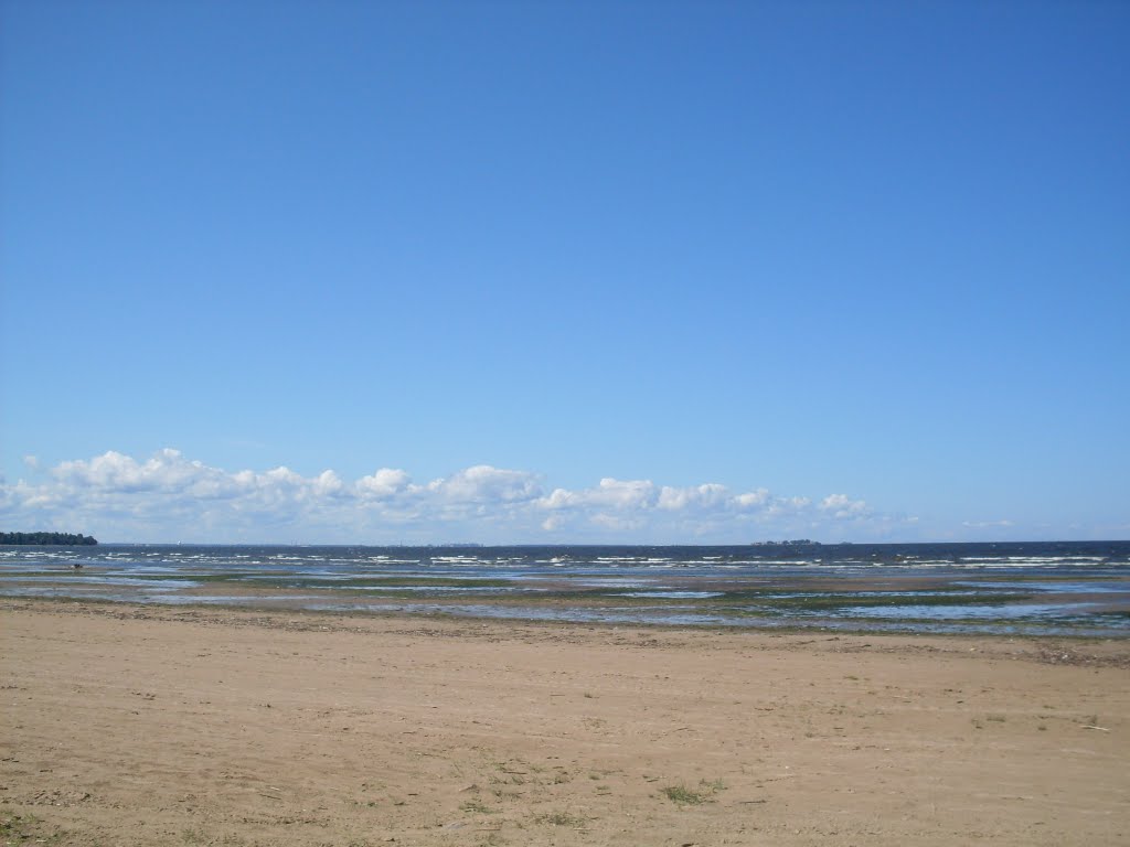 The Beach.