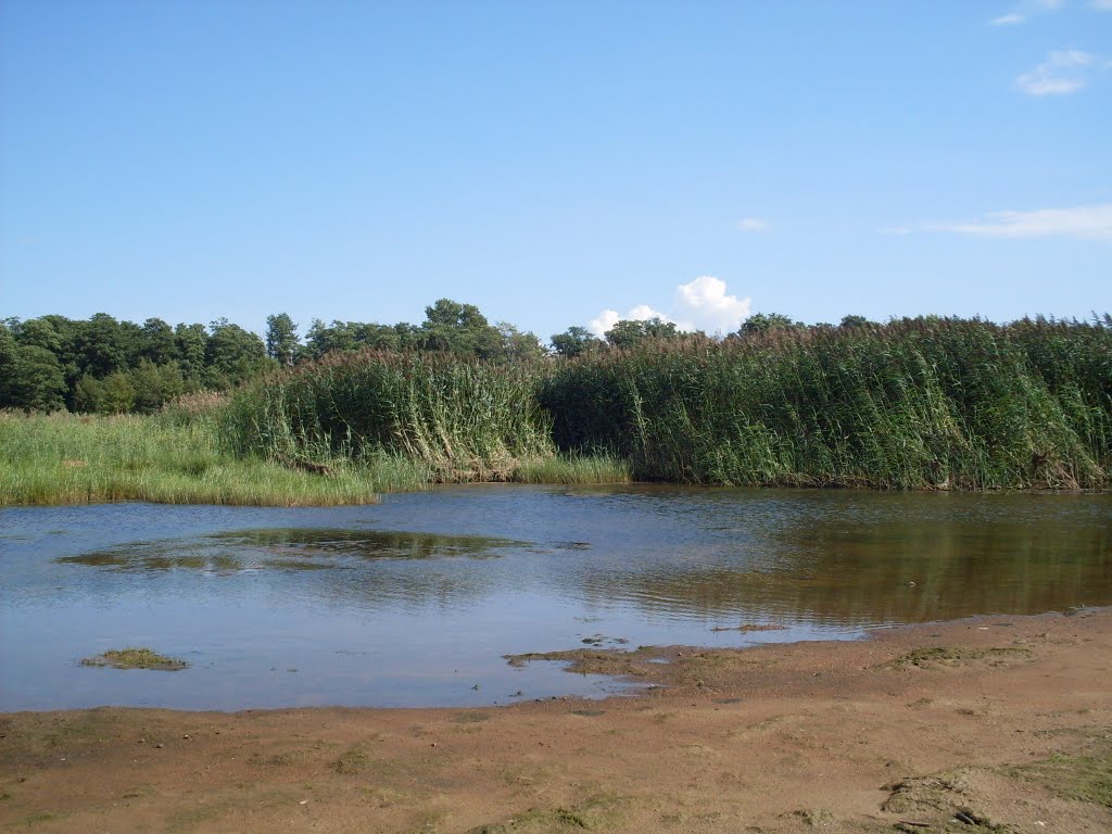 Green Beach.
