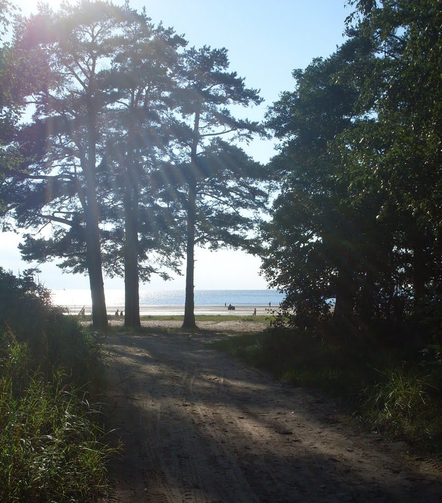 Road to the Beach.