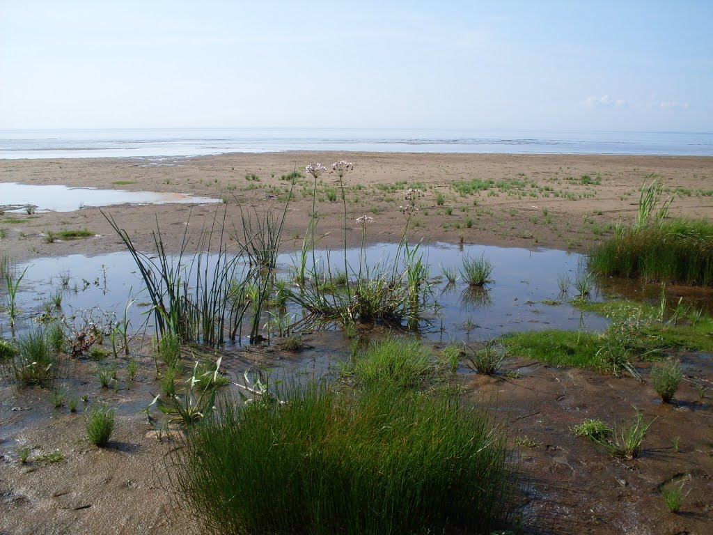 Tide out...