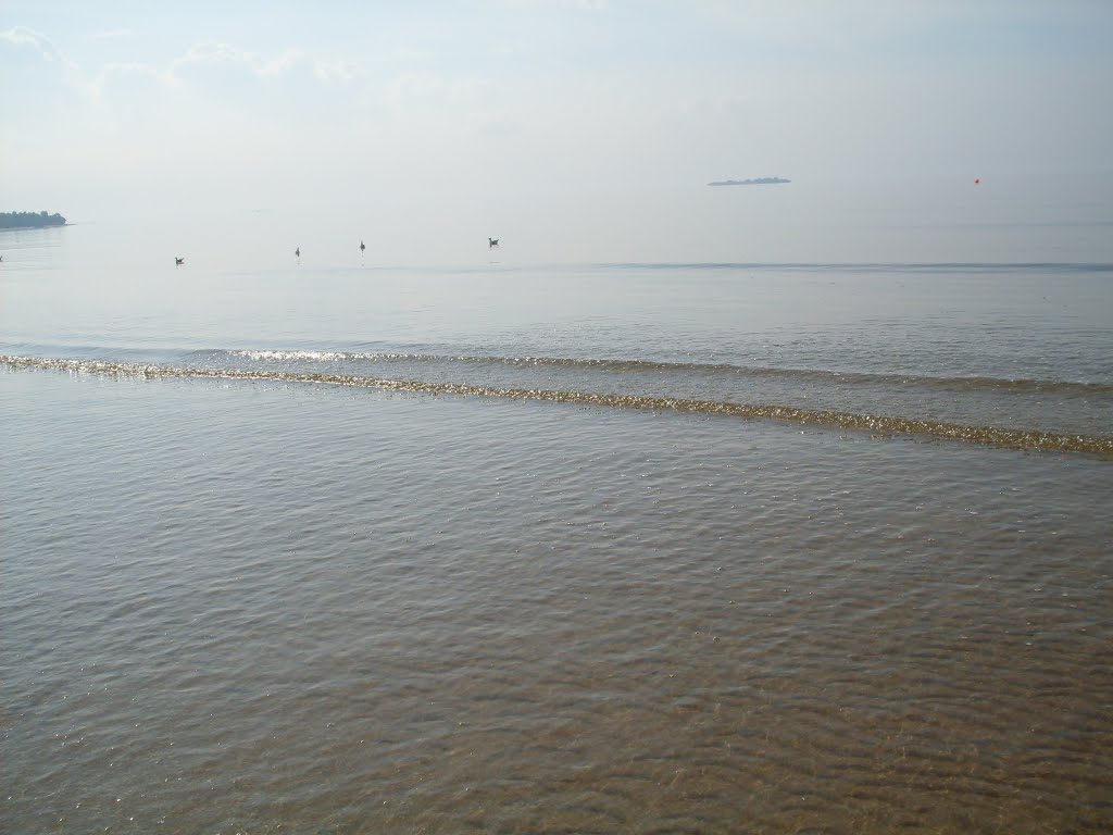 Mist....