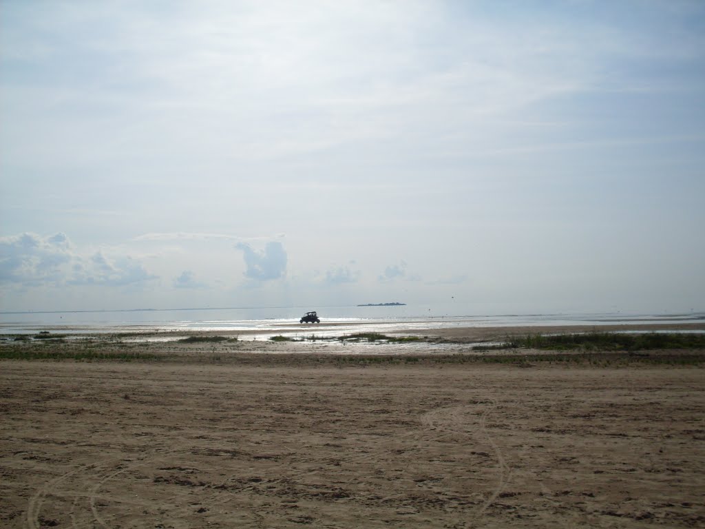 Tide out and Mist.