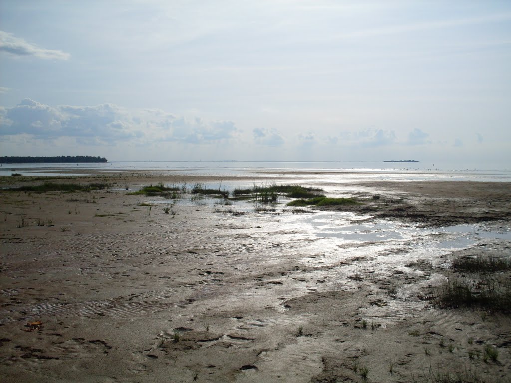 Tide out...mist