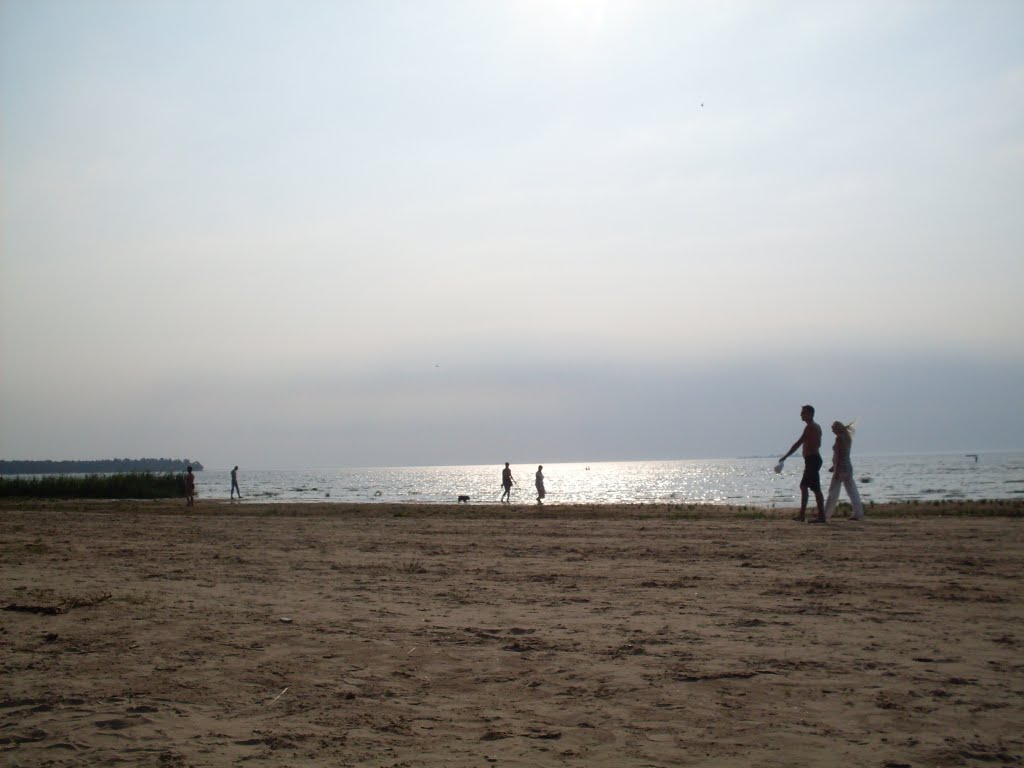 Sun and Mist.