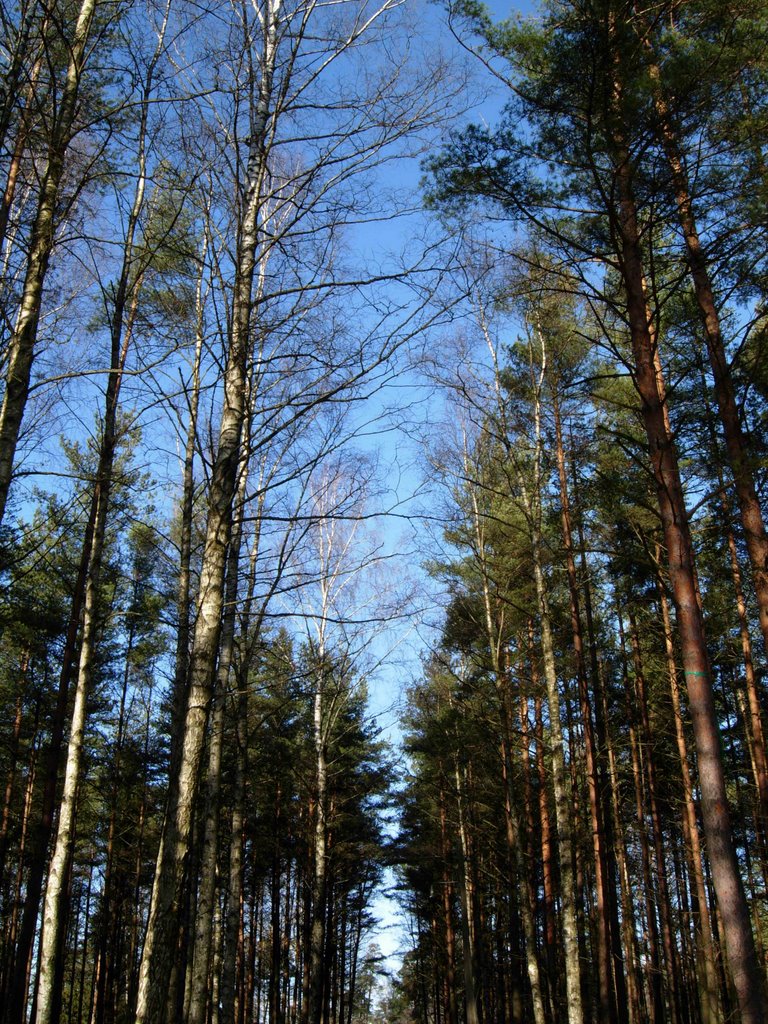 Kurort