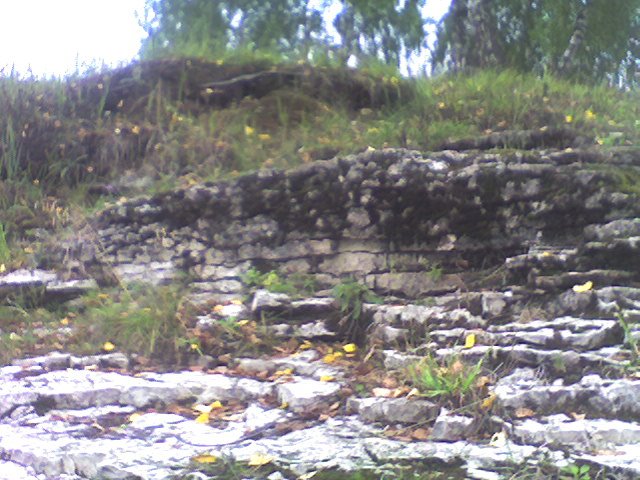 Сланцы (Shale)