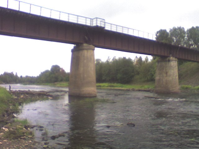 Железнодорожный мост (Railway bridge)