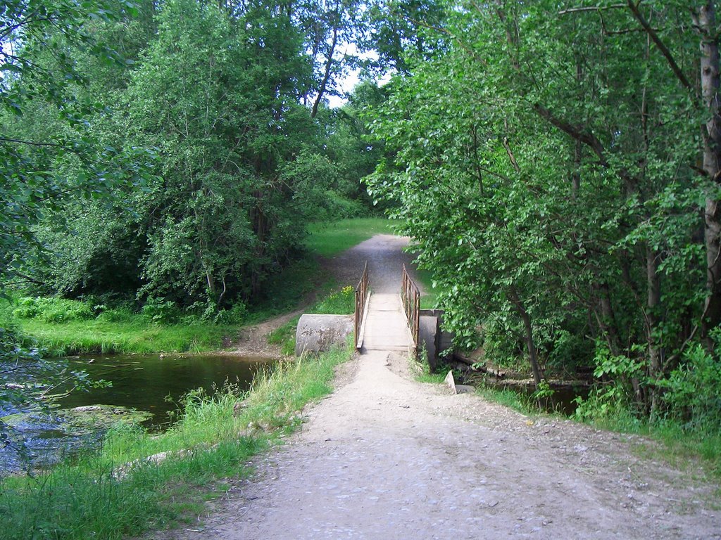 Bridge