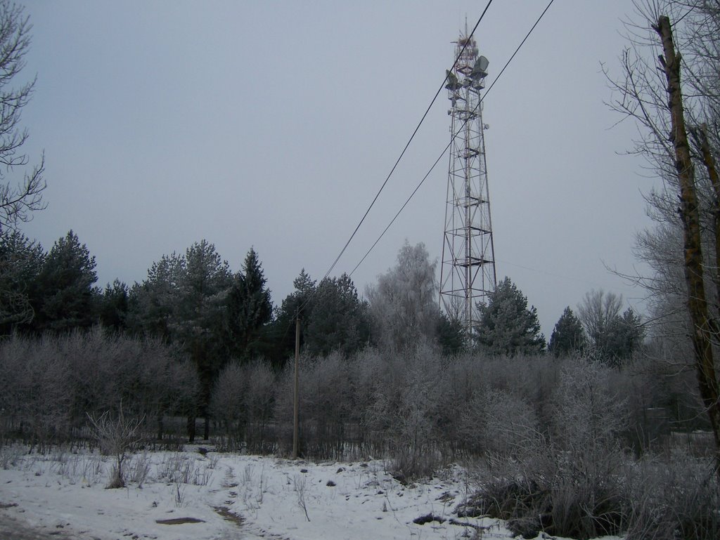 Сланцы. Зима 15.12.2008г
