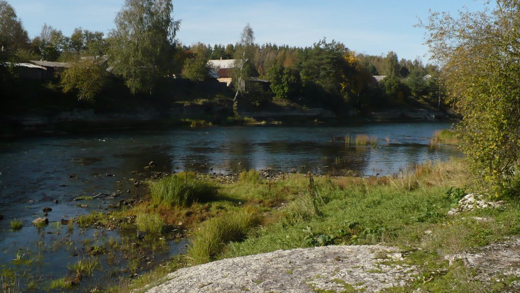 р.плюсса