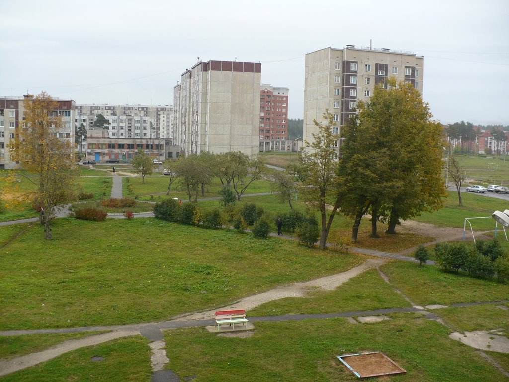 перед дождём