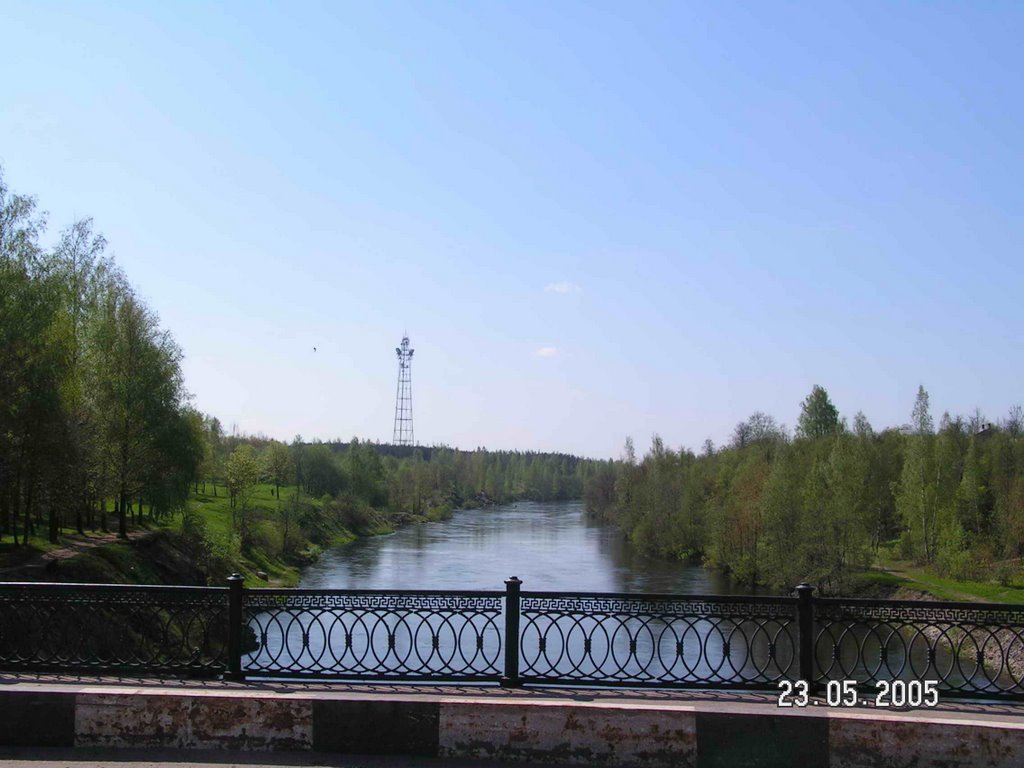 на мосту летом (On the bridge in the summer)
