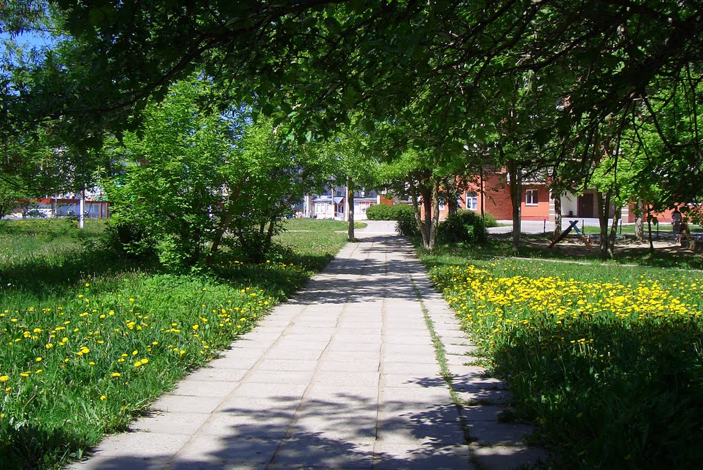ул.Гагарина