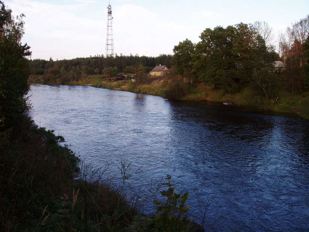 р. Плюсса.