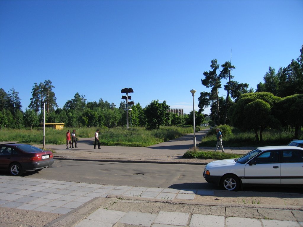 Sosnovy bor