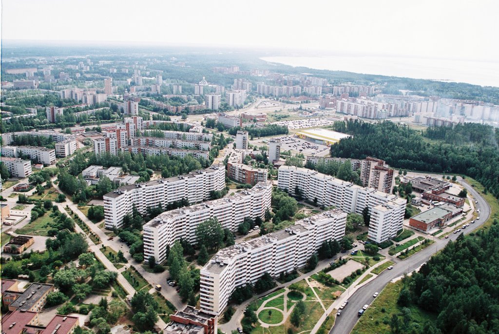 Сосновый Бор