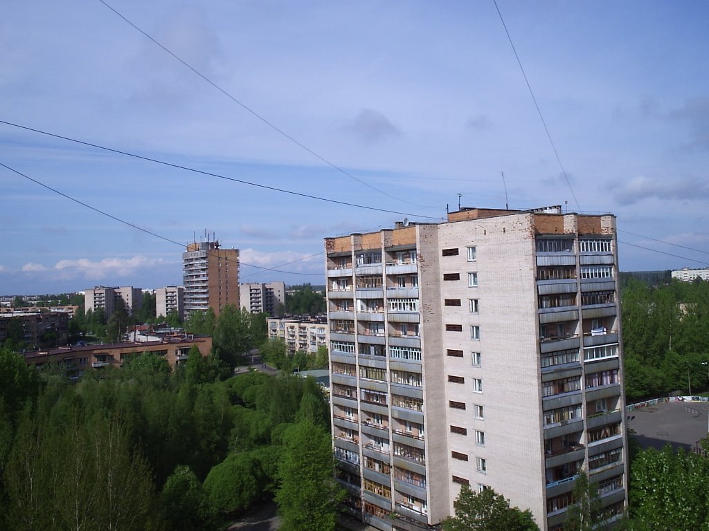 Вид в сторону 14-этажки