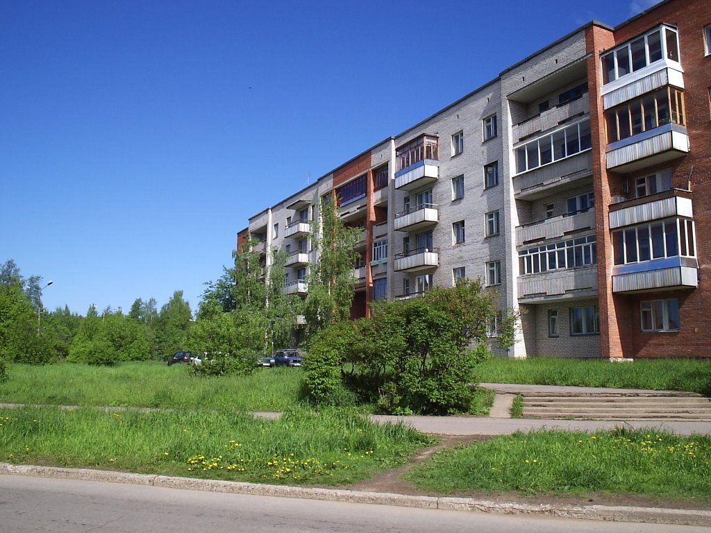 Героев 51