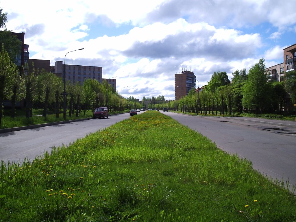 пр. Героев в сторону кольца