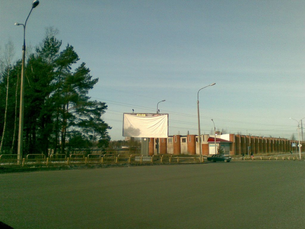 Elections 2008