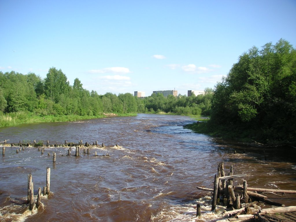 Destroyed dam on Tikhvinka river