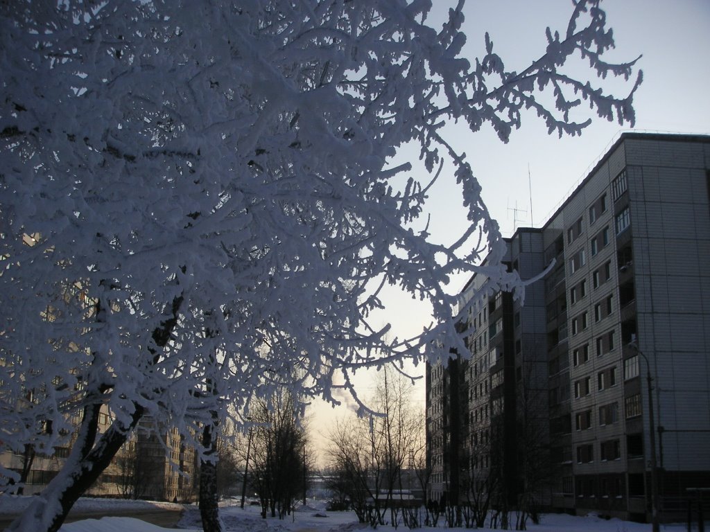 Crystallic tree