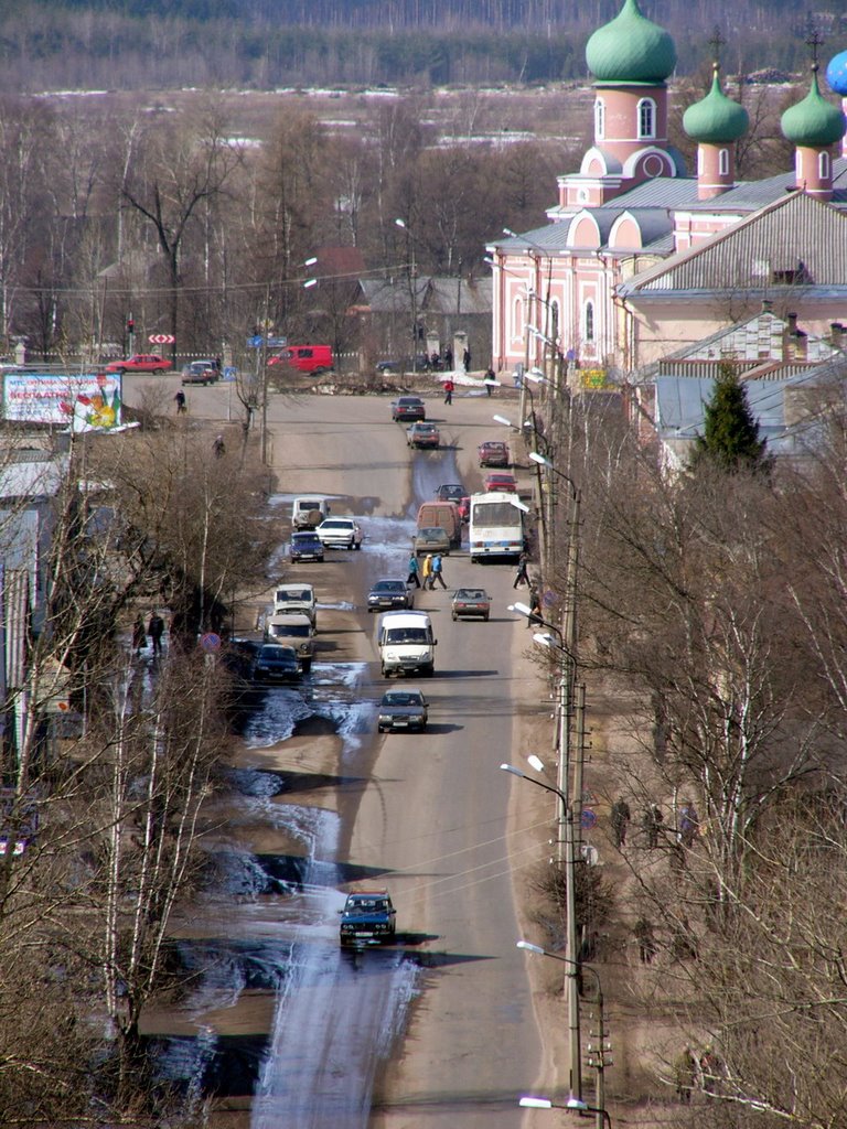 Вид на Площадь Свободы и Улицу Карла Маркса(Type on the Area of Freedom and Charles Marxs Street)