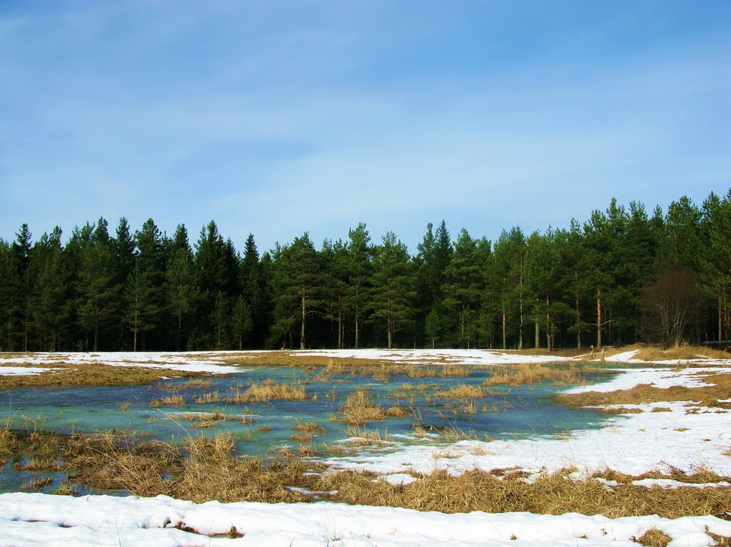 весна