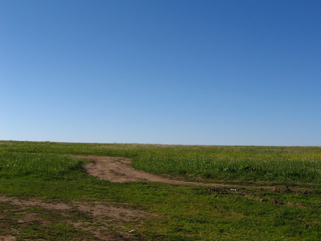 Просторы