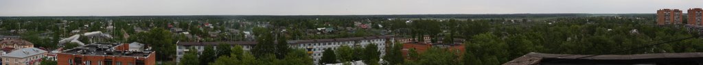 Тосно, частный сектор, вид с 9-го этажа