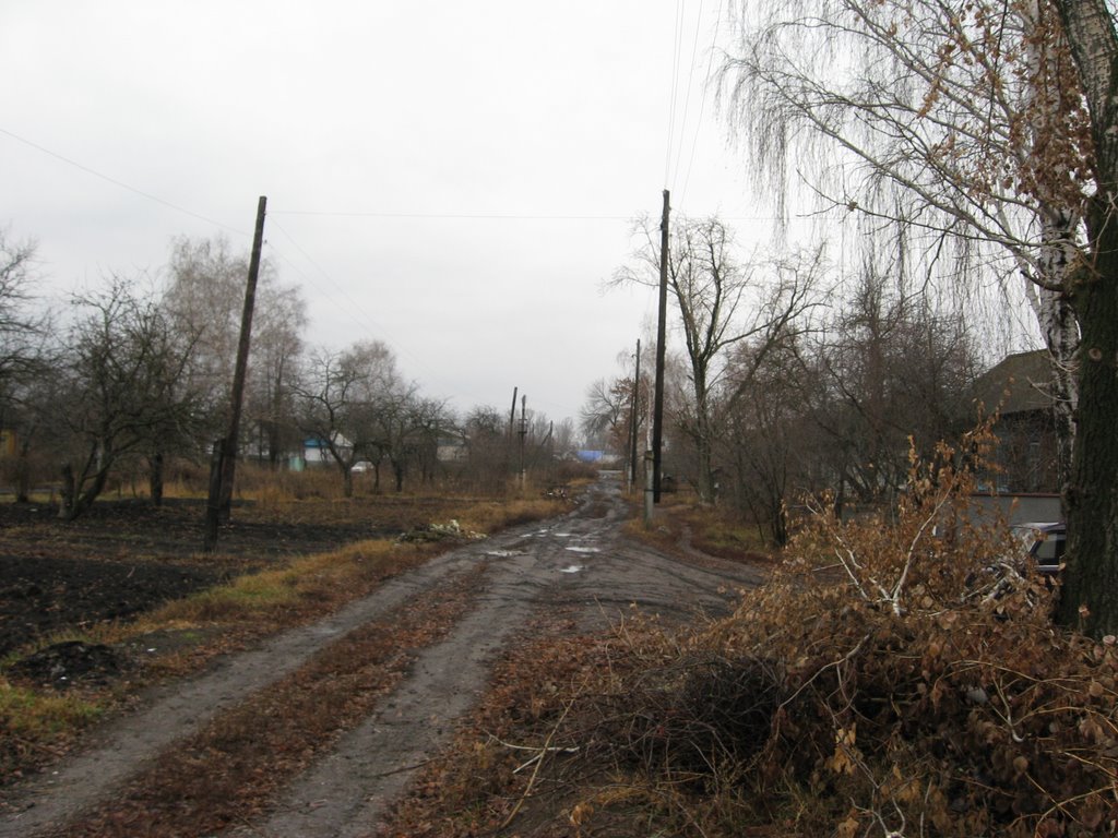 Аркадак. Ул. Шацкого