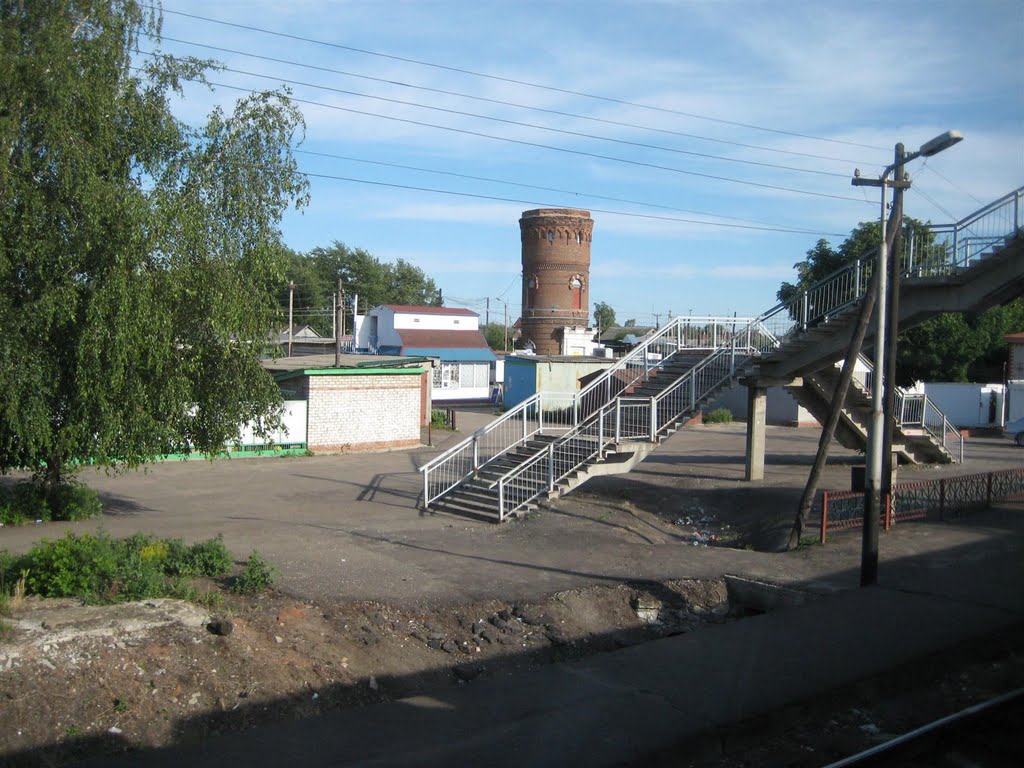 Аркадак