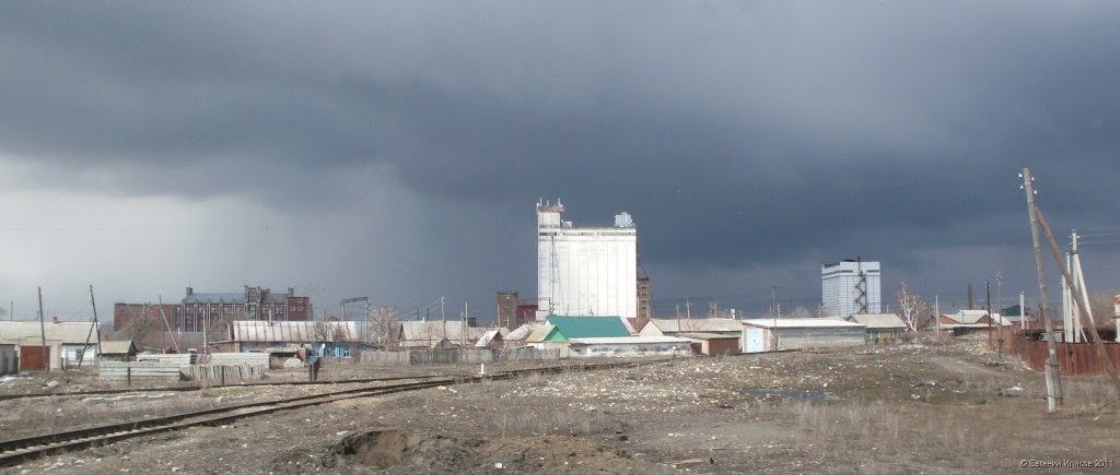 Аркадакский элеватор