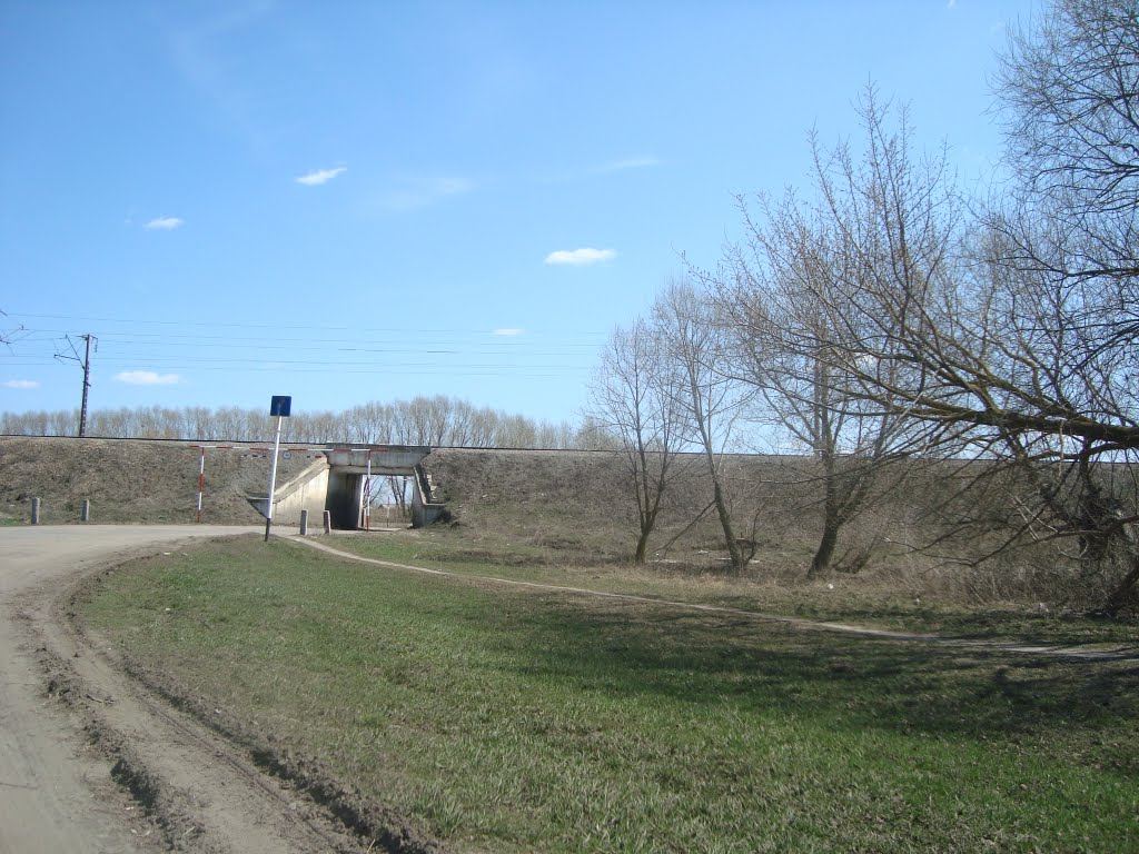 У ПОДЪЕЗДНОГО МОСТА
