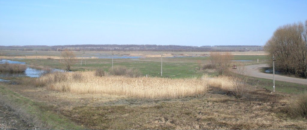 Луга к северу от Аркадака