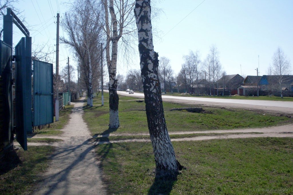 На ул. Володарского