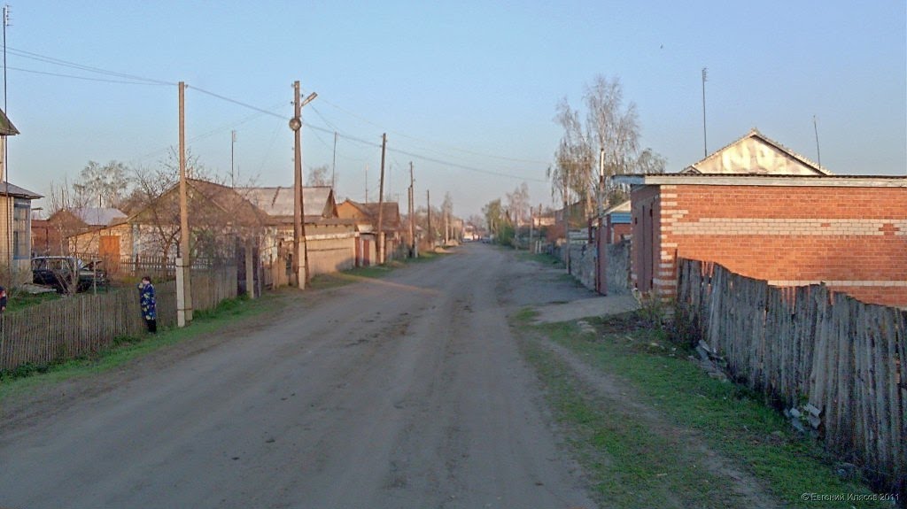 Начало улицы Каплунова