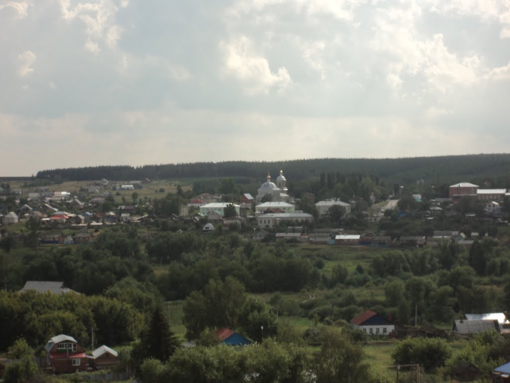 вид с вырухи