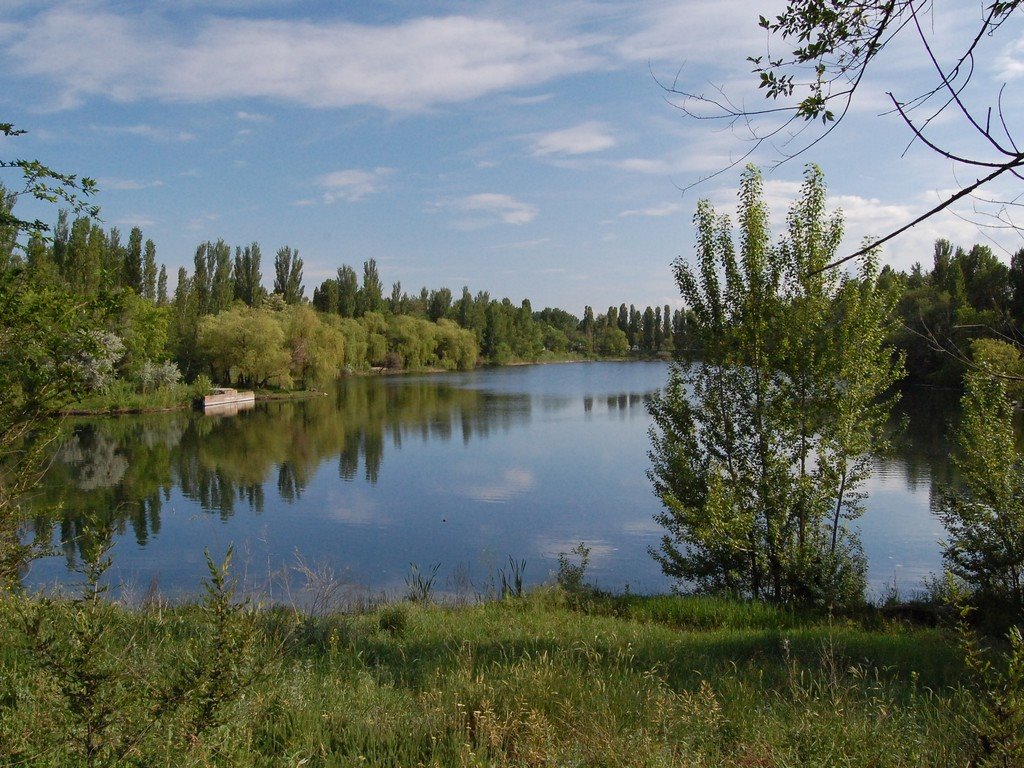 Больничные пруды