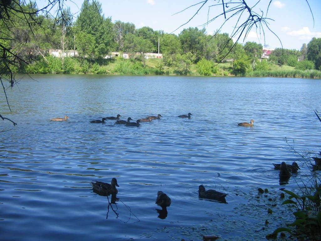 озеро в б/г