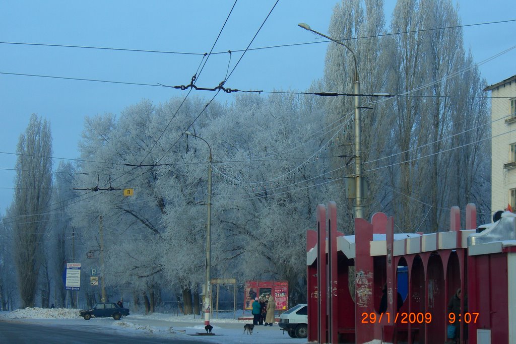 Балаково, за бортом -20С
