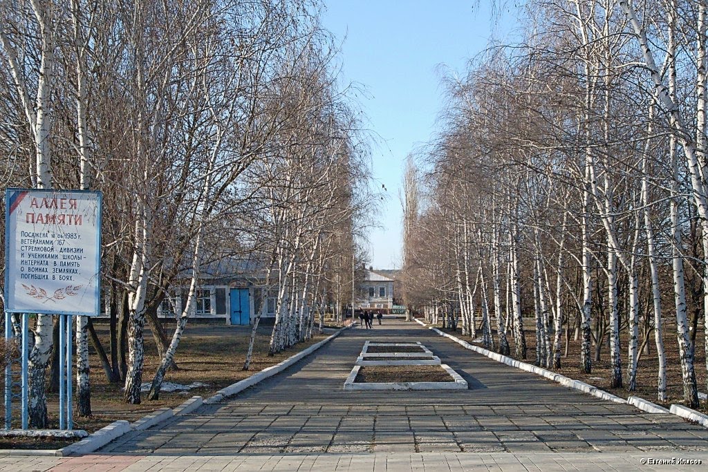Аллея памяти в парке Куйбышева.