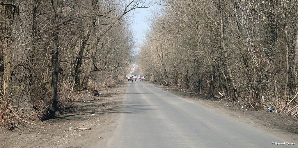 Дорога на Репное от Старого моста.
