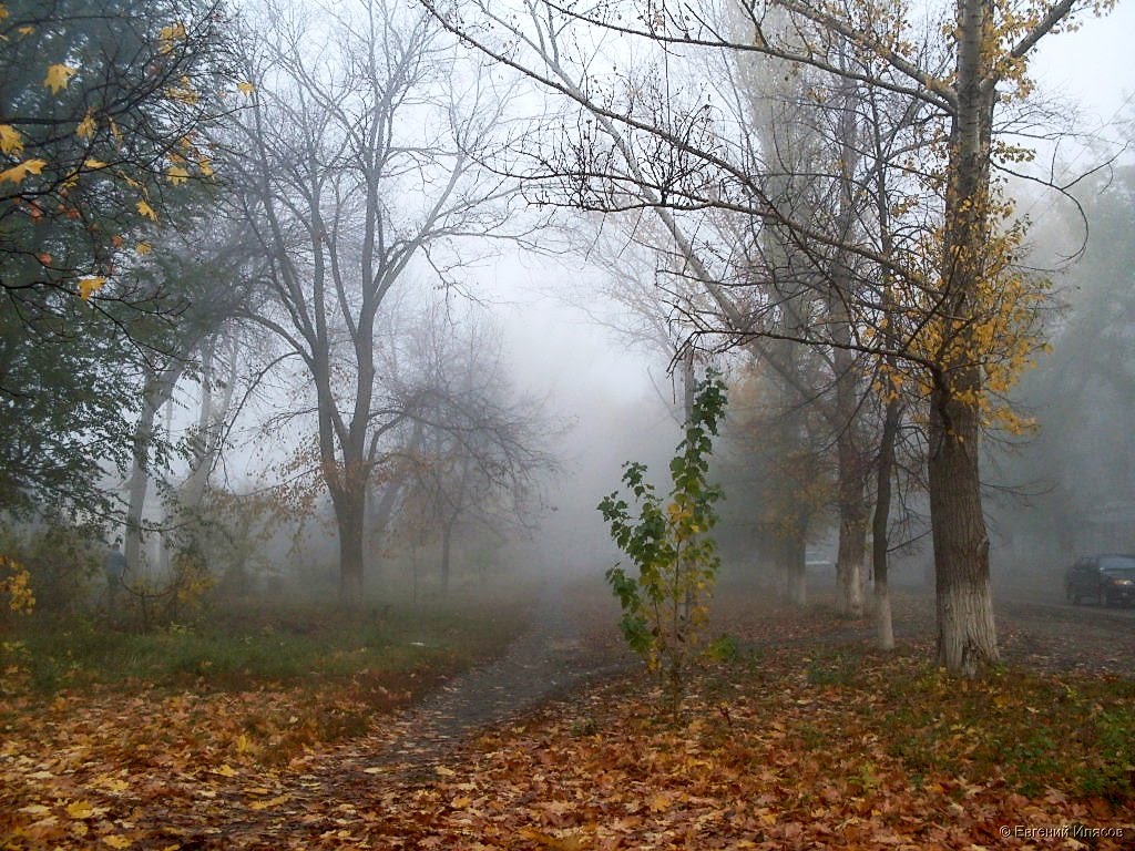Осенняя аллея.